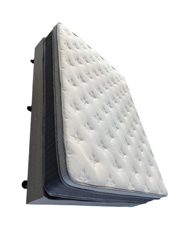 Delta Snooze Mattress